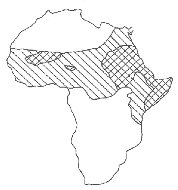 Map of female excision areas